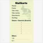 Kaninchen Zuchtbuch Vorlage Inspiration Stallkarten sollfrank Kg