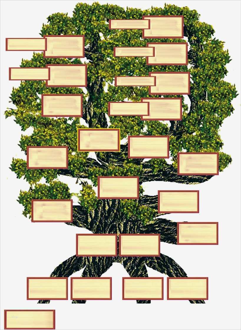 Kaninchen Zuchtbuch Vorlage Süß Niedlich Stammbaum Vorlage Mac Zeitgenössisch