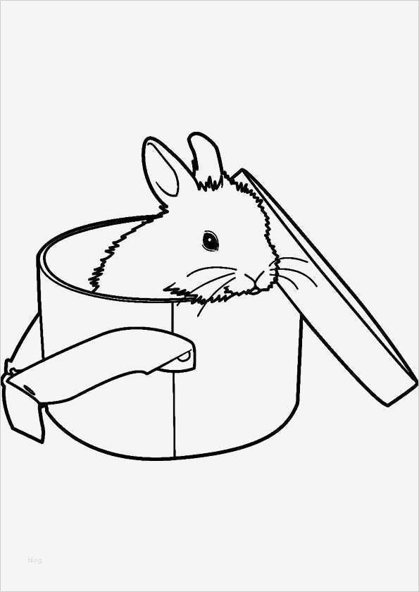 Kaninchen Zuchtbuch Vorlage Wunderbar Modern Ausmalbilder Kostenlos Kaninchen Muster