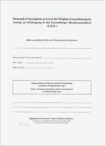 Nett Lapbook Vorlage Galerie Entry Level Resume Vorlagen