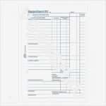 Kassenbericht Vorlage Pdf Beste Kassenbericht 305