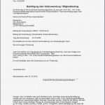 Kassenprüfung Verein Vorlage Angenehm Vereinsbuchhaltung Buchhaltung software Für Den Verein