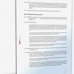 Kassenprüfung Verein Vorlage Genial Statut Des Vereins Muster Vorlage Zum Download