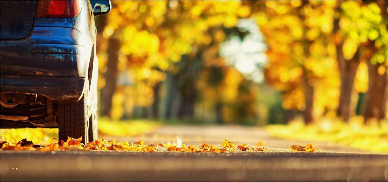 Kfz sonderkündigungsrecht Vorlage Cool Kfz Versicherung Kündigen Geprüfte Vorlage Direkter