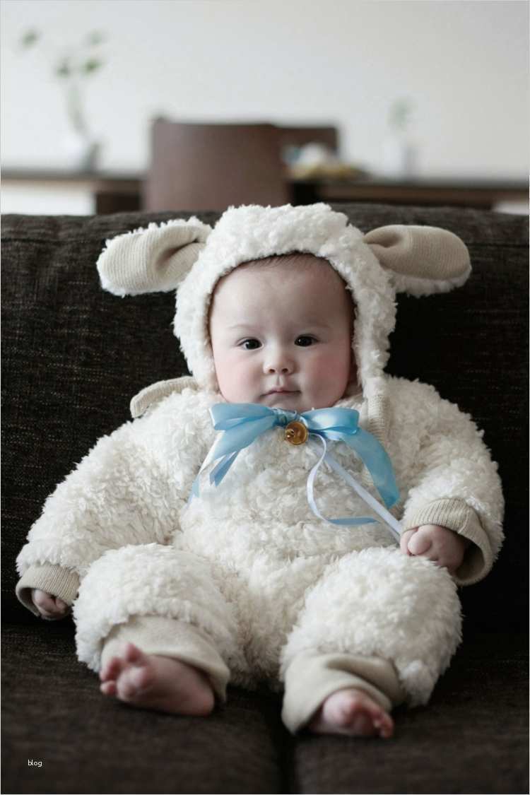 Kinderschminken Schaf Vorlagen Erstaunlich Faschingskostüme Für Babys Erlebnis Für Kind Und Mutter