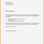 Kinogutschein Vorlage Word Erstaunlich 11 Nstzeugnis Vorlage