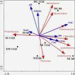 Kit Vorlage Powerpoint Schön Ausgezeichnet Kostenlose Epk Vorlage Zeitgenössisch