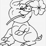 Kleeblatt Vorlagen Glücksbringer Cool Jessie Kissen