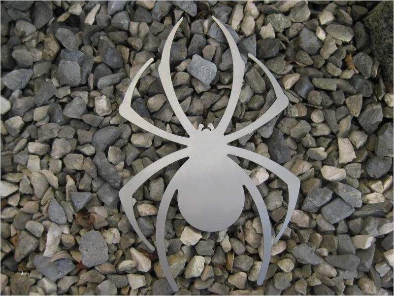 Klingel Namensschild Vorlage Cool Gelaserte Spinne