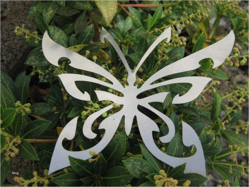 Klingel Namensschild Vorlage Schön Schmetterling Aus Edelstahl Gelasert Geerscutting