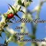 Kommunionkarten Vorlagen Kostenlos Erstaunlich Kostenlose Karten Zur Kommunion Gaidaphotos Fotos Und Bilder