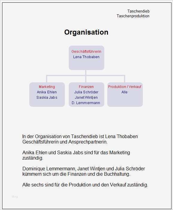 Konzept Homepage Vorlage Luxus Konzept Beispiel