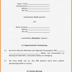 Kooperationsvertrag Vorlage Word Elegant 6 Vereinbarung Muster