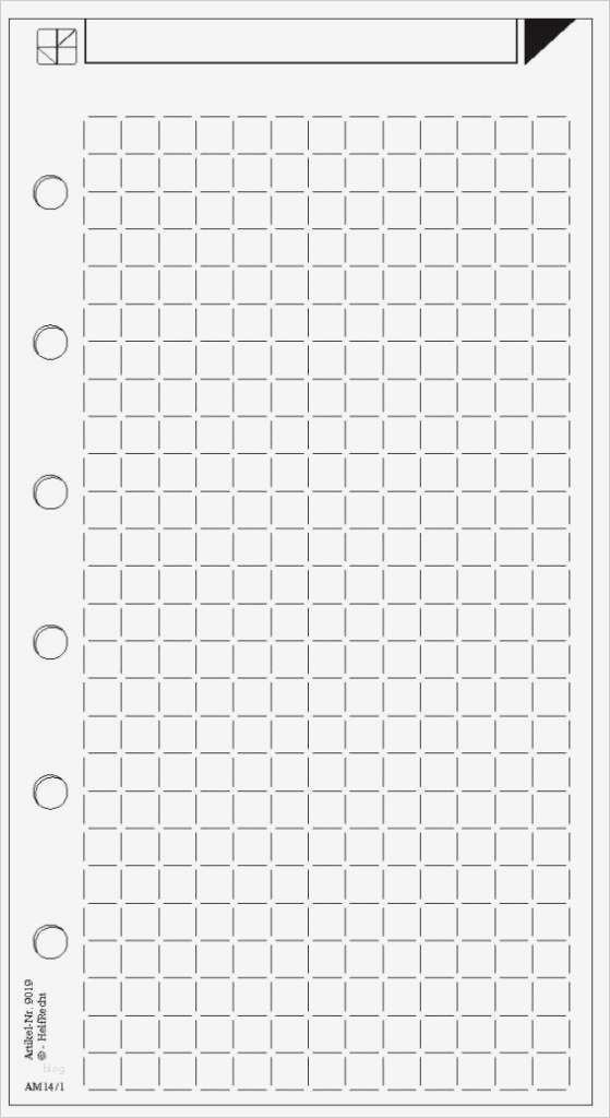 Koordinatensystem Excel Vorlage Hübsch Ungewöhnlich Karopapier Vorlage Ideen Entry Level Resume
