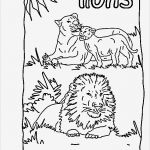 Kostenlose Ppt Vorlagen Inspiration Gallery Of Henna Vorlage Tattoos Pinterest Henna Vorlagen