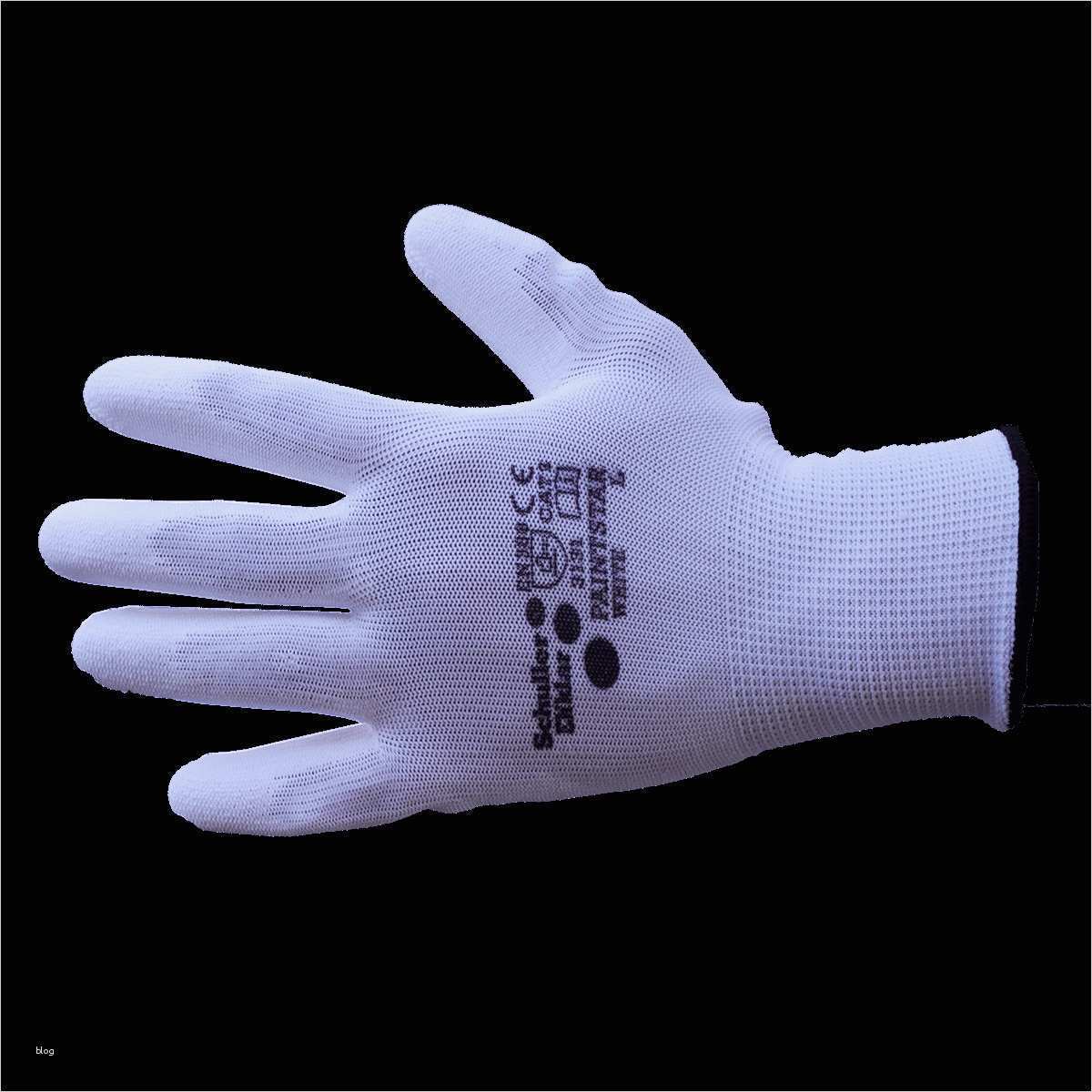 Kündigung Pkv Vorlage Fabelhaft 61 Galerie Fledermaus Vorlage Zum Ausdrucken Spezial