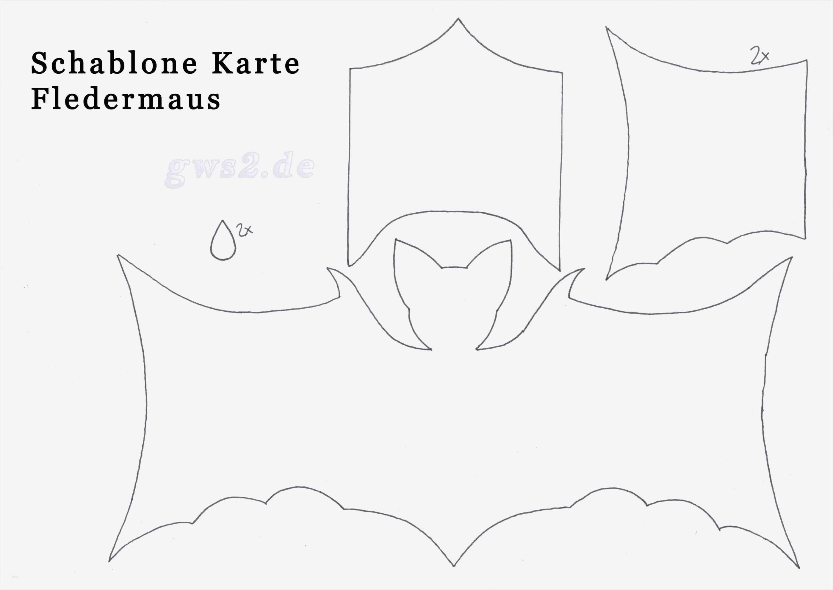 Kündigung Pkv Vorlage Großartig 61 Galerie Fledermaus Vorlage Zum Ausdrucken Spezial