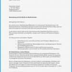 Kündigung Vorlage Arbeit Best Of Kündigung 450 Euro Job Vorlage