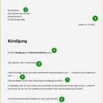 Kündigung Vorlage Arbeit Fabelhaft 5 Kündigung Schreiben Muster