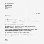 Kurzplanung Erzieher Vorlage Großartig Das Große Karriere Paket Für Büro &amp; Verwaltung