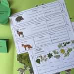 Lapbook Wald Vorlage Angenehm Worksheet Crafter