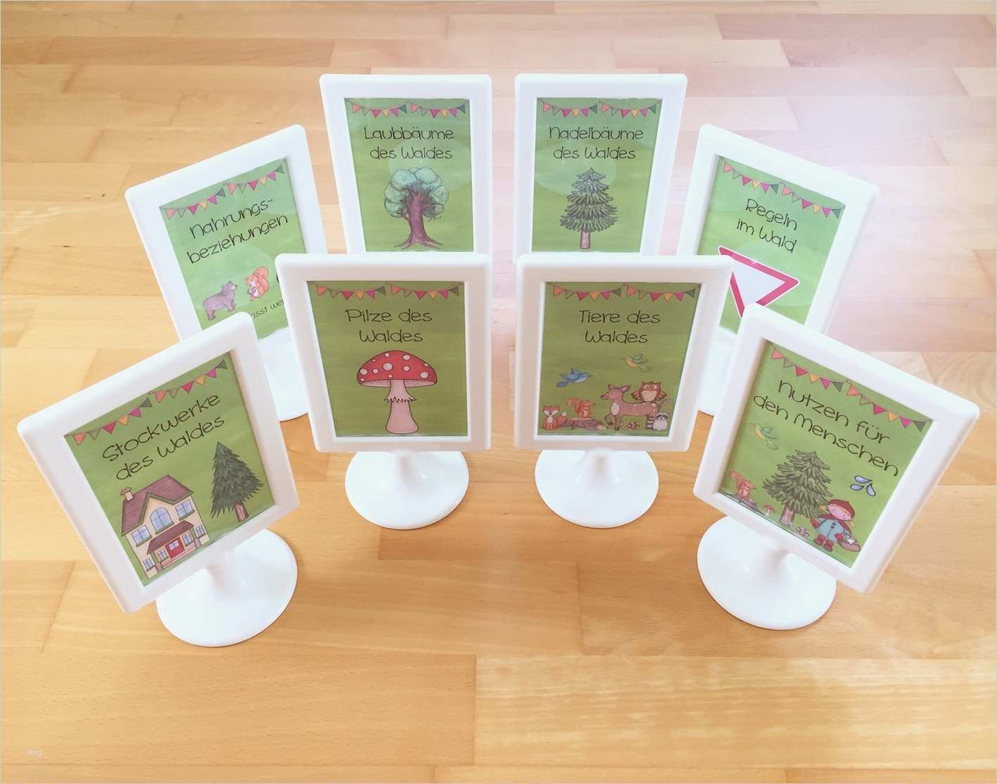 Lapbook Wald Vorlage Großartig Materialwiese Wald Lapbook Im Sachunterricht