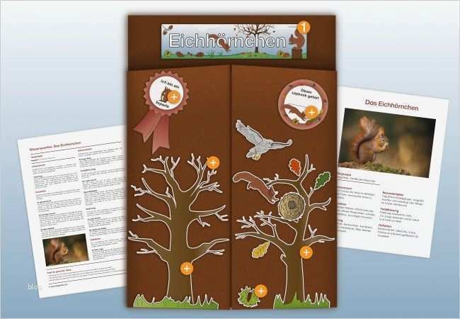 Lapbook Wald  Vorlage H bsch De Eichhoernchen Lapbook 