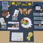 Lapbook Wald Vorlage Inspiration Projektplan Uhu Lapbook Für Kindergarten Kita Und Schule