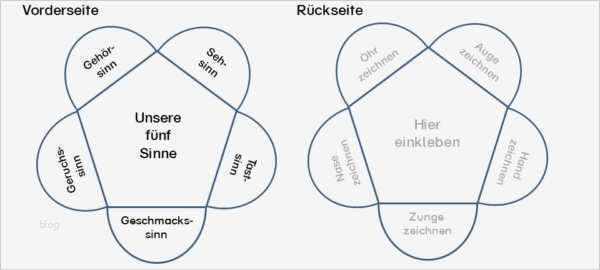 Lapbook Wald Vorlage Schön Hsu Archive • Materialien Grundschule Wiki Wisseninklusiv
