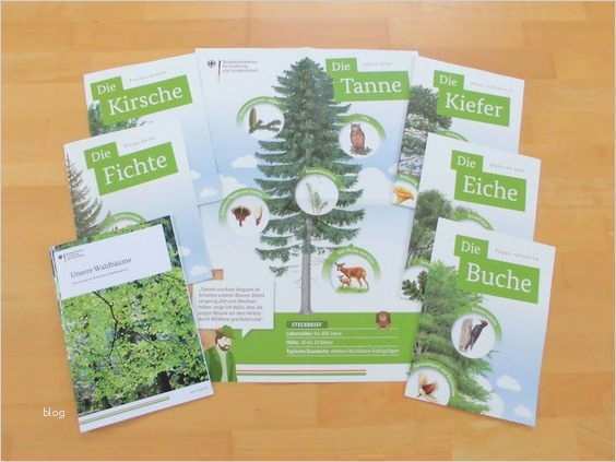 Lapbook Wald Vorlage Schönste Materialwiese Kostenlos Poster Zur Waldfibel Für
