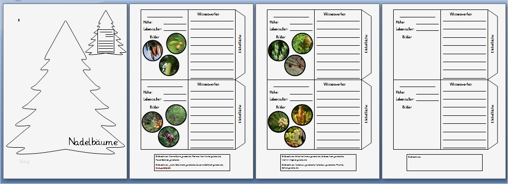 Lapbook Wald Vorlage Wunderbar Tipss Und Vorlagen Baustein B Ume Waldlapbook