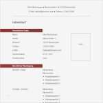 Latex Lebenslauf Vorlage Modern Cv Beste Clean &amp; Modern Cv Template Schlichtes Und Modernes
