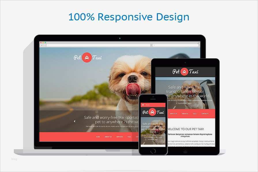 Layout Homepage Vorlagen Bewundernswert Website Vorlage Für Taxi