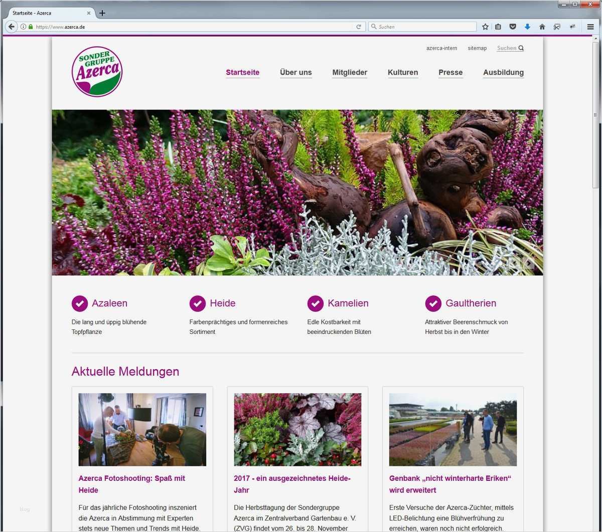 Layout Homepage Vorlagen Elegant Website Im Neuen Layout Dega Gartenbau Fachmagazin
