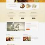 Layout Homepage Vorlagen Wunderbar Website Vorlage Für Pferd