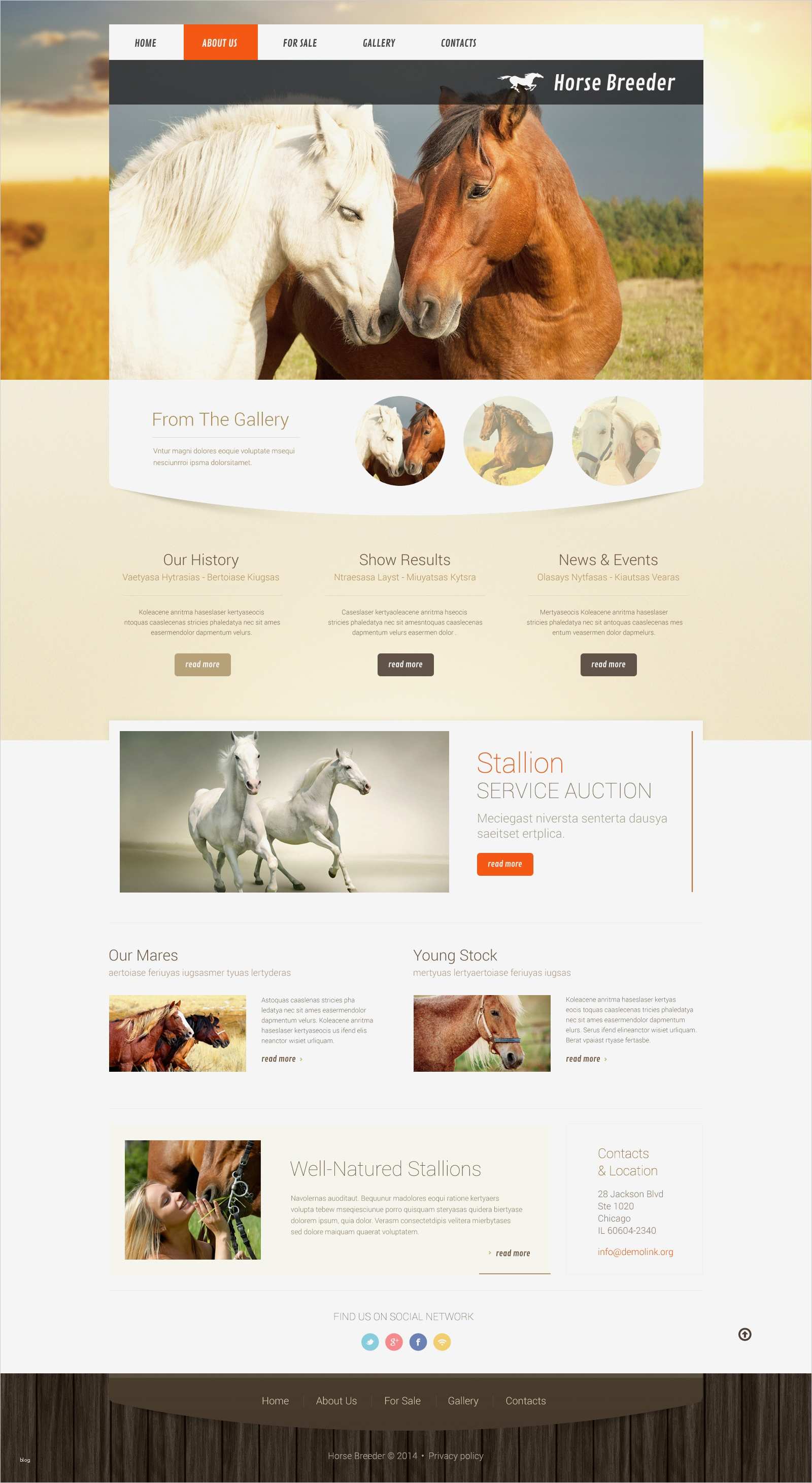 Layout Homepage Vorlagen Wunderbar Website Vorlage Für Pferd