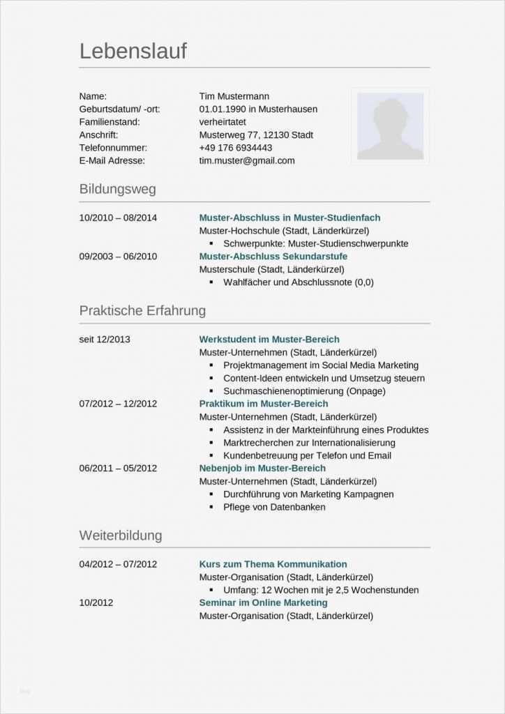 Lebenslauf Ausbildung Vorlage Word Schön Lebenslauf Muster Für Lkw Fahrer