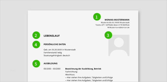 Lebenslauf Berufseinsteiger Nach Ausbildung Vorlage Wunderbar Lebenslauf Muster Auszubildende Bewerbungsprofi Net