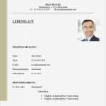 Lebenslauf Doc Vorlage Genial Lebenslauf Vorlage Doc Lebenslauf Beispiel