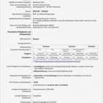 Lebenslauf Für Fachhochschule Vorlage Einzigartig Cv Europass Vorlage
