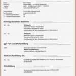 Lebenslauf Hobbies Vorlage Schön Lebenslauf Abschluss Hobbies Im Tabellarischer Beispiel 3