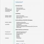Lebenslauf Ohne Berufserfahrung Vorlage Gut Beste Lebenslauf Beispiel Hochschulabsolvent Bilder