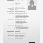 Lebenslauf Pdf Vorlage Cool Lebenslauf Muster 1 Klassische Bewerbungsvorlage