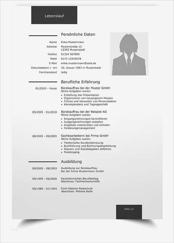 Lebenslauf Pdf Vorlage Cool Lebenslauf Muster 1 Klassische Bewerbungsvorlage