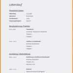 Lebenslauf Reinigungskraft Vorlage Erstaunlich 12 Bewerbung Koch Muster