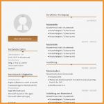 Lebenslauf Reinigungskraft Vorlage Hübsch 12 Bewerbung 2017 Muster