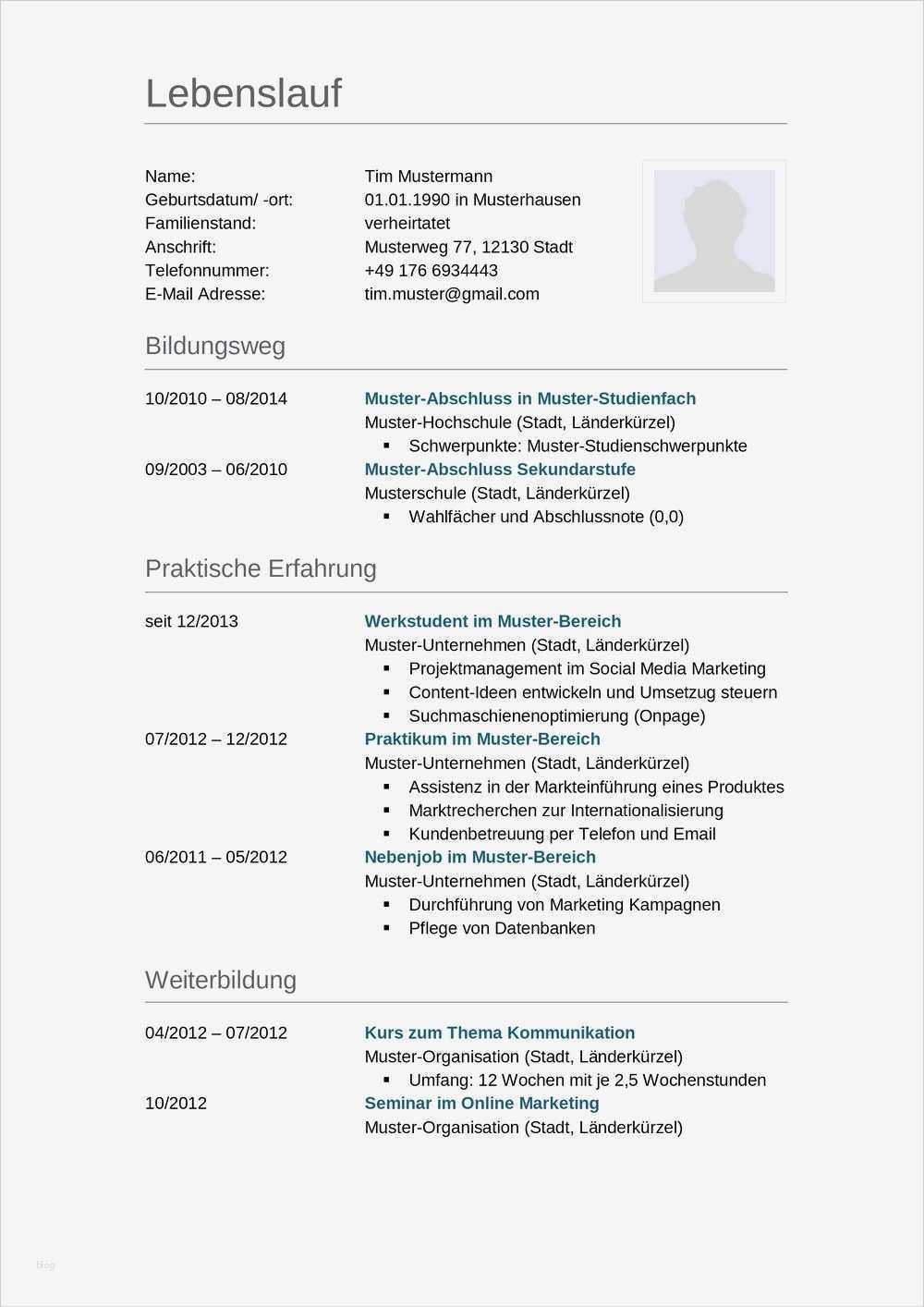 Lebenslauf Schüler Vorlage Download Fabelhaft Lebenslauf Muster Für Lkw Fahrer