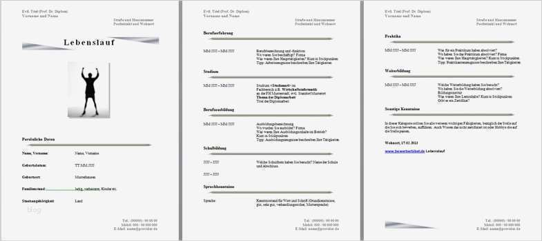 Lebenslauf Schweißer Vorlagen Elegant Vorlage Lebenslauf Gratis Bildungsbibel