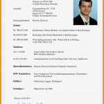 Lebenslauf Studium Vorlage Beste 8 Studium Lebenslauf Muster