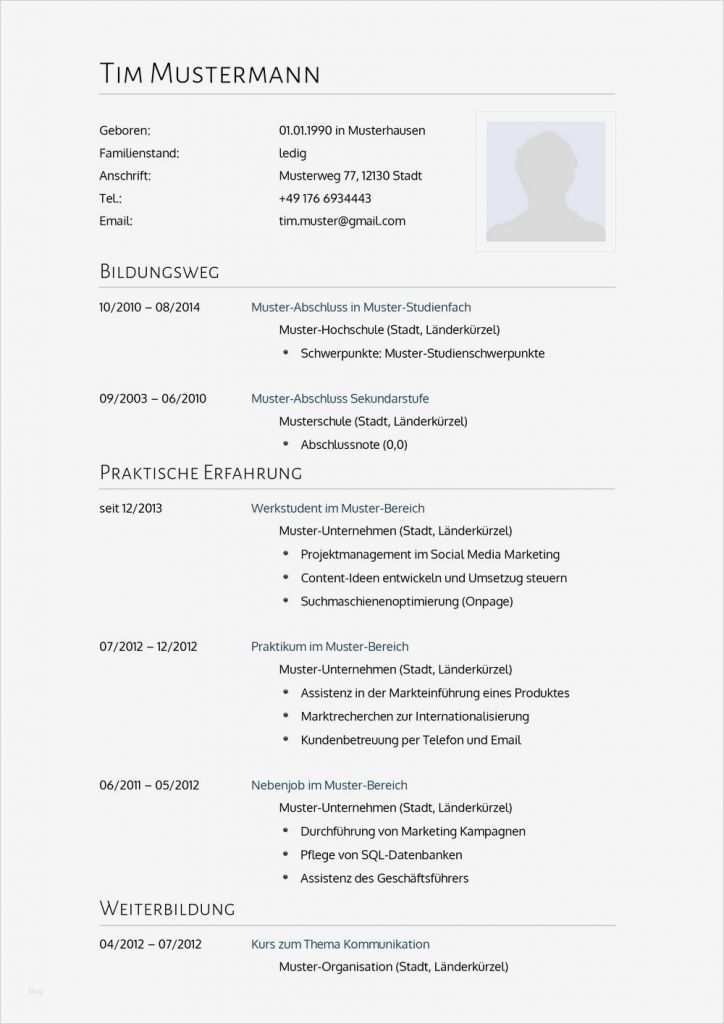 Lebenslauf Tabellarisch Vorlage Download Großartig ...